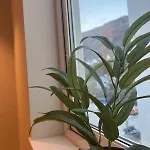 Affordable Luxury - Vibe - Heart Of